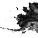 Black and white topographic map of a coastal region