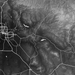 Topographic map with urban layout and water bodies
