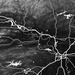 Topographic map with white lines and patterns on a black background