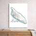 Map of Aruba on a wall above a wooden shelf