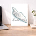 Map of Aruba on a desk with a laptop and plant