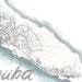 Map of a city with roads and water bodies, featuring the word 'Aruba'.