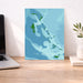 Map of The Bahamas on a desk with a laptop and plant