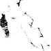 Black and white Bahamas islands on a white background