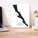 Map of Baja California Peninsula on a white background, displayed on a wooden desk with a laptop and plant.