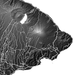 Topographic map of a volcanic island with detailed elevation lines.