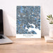 Framed map of Baltimore on a desk with a laptop and plant.