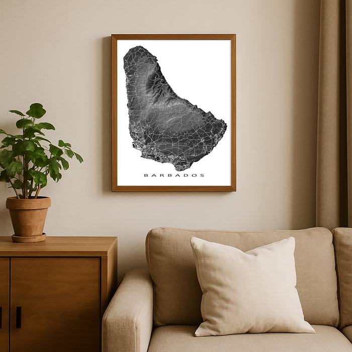 Framed map of Barbados on a wall above a sofa with a plant beside it.