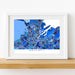 Framed map of Belfast on a white wall