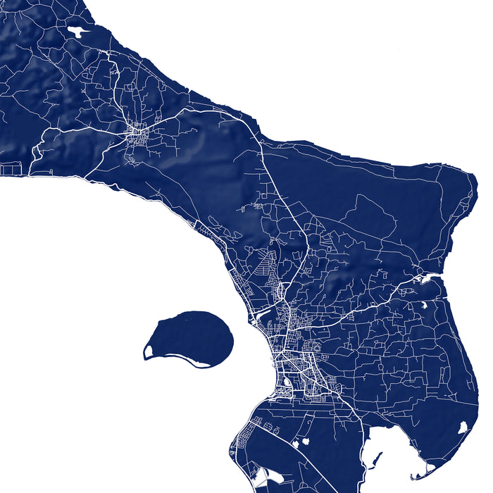 Map of a coastal region with urban planning details in blue on a white background