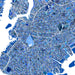 Map of a city with a grid layout in shades of blue on a white background