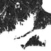 Black and white topographic map of a coastal region
