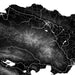 Topographic map of a region with detailed elevation changes.