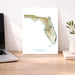 Map of Florida on a desk with a laptop and plant