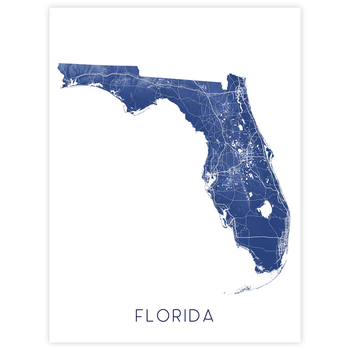 Florida Topographic Map Print: State Wall Art Poster, Miami Florida Keys Tampa