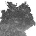Map of a region with roads and boundaries