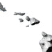 Black and white abstract art of a face and leaves on a white background
