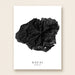 Topographic map of Kauai, Hawaii on a white background