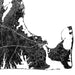 Black and white map of a coastal area with roads and boundaries.