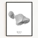 Framed artwork of a topographic map of Maui, Hawaii on a white background