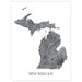 Topographic map of Michigan on a white background