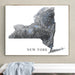 Framed map of New York on a wall above a white bench.