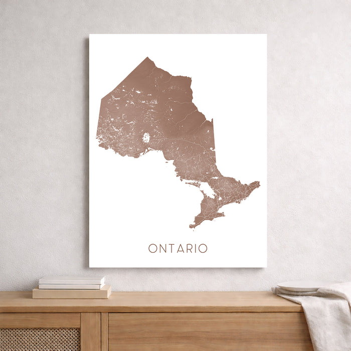 Map of Ontario on a white background above a wooden surface