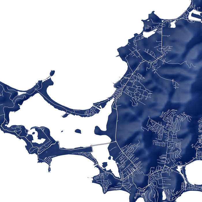 Map of a coastal area with intricate details on a white background