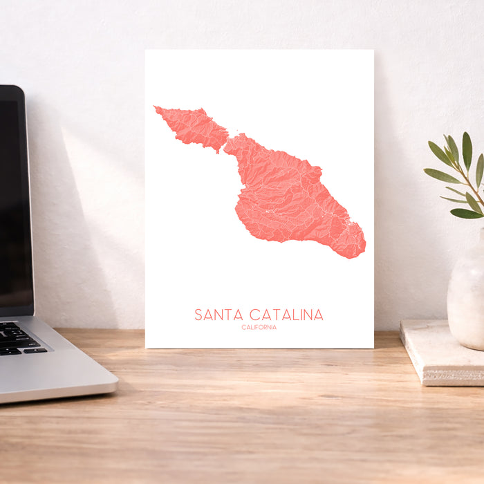 Map of Santa Catalina Island on a desk with a laptop and plant.