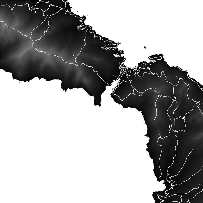 Map of Santa Catalina island with black and white color scheme