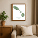 Framed map of Saint Kitts and Nevis on a wall above a sofa with a plant beside it.
