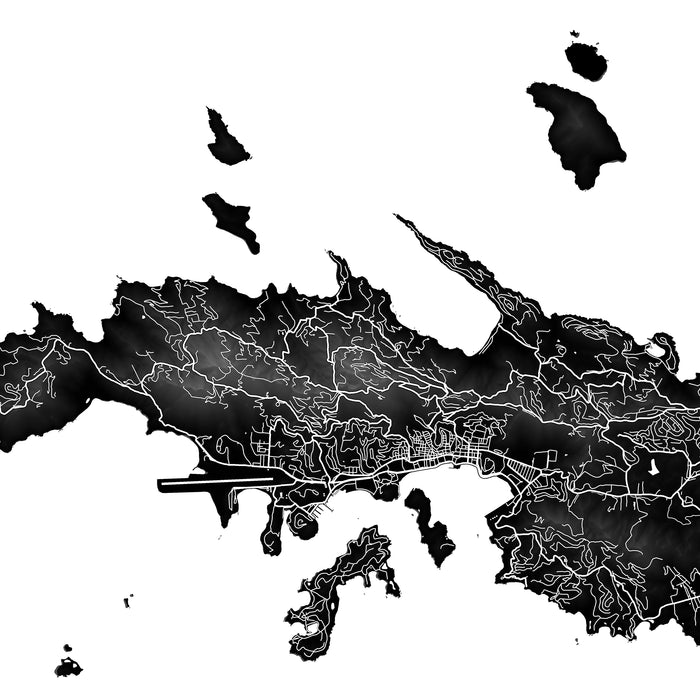 Black and white map of a coastal area with intricate details
