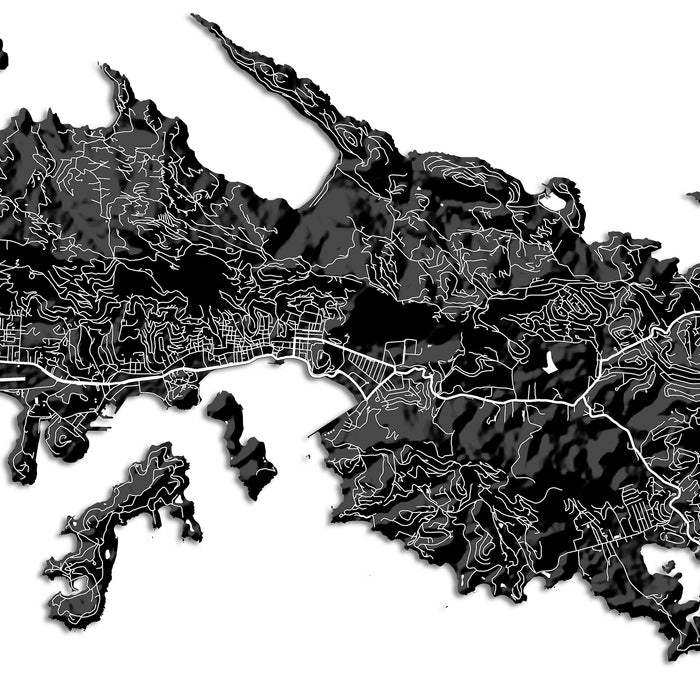 Black and white topographic map of a coastal area