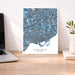 Map of Toronto, Ontario on a wall above a desk with a laptop and plant.