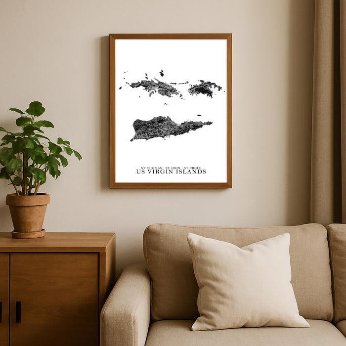 Framed map of U.S. Virgin Islands on a wall above a sofa with a plant beside it.