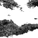 Black and white map of a coastal area with roads and islands.