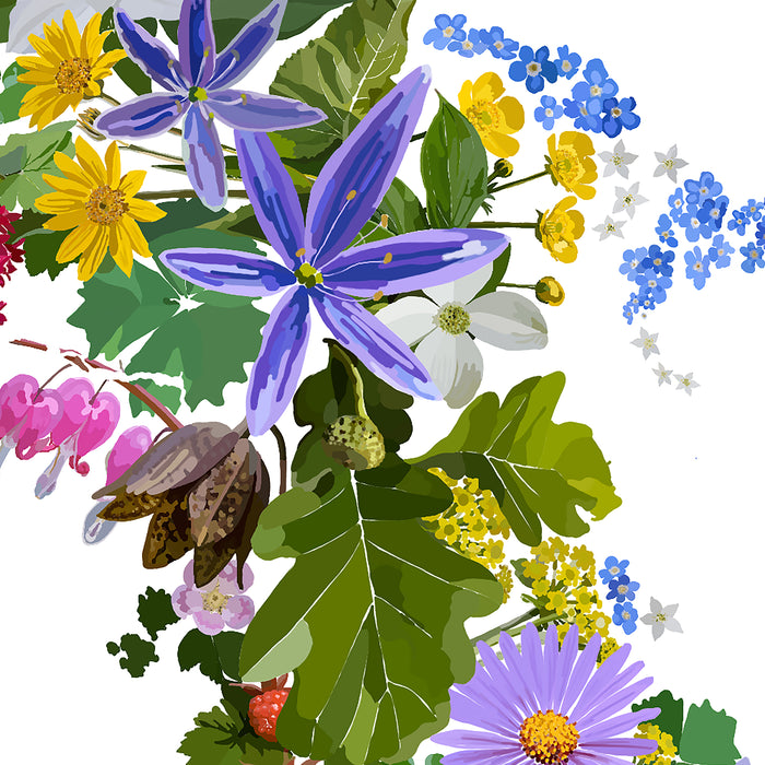 Vancouver Island Vinyl Car Sticker: Botanical Art Waterproof Decal