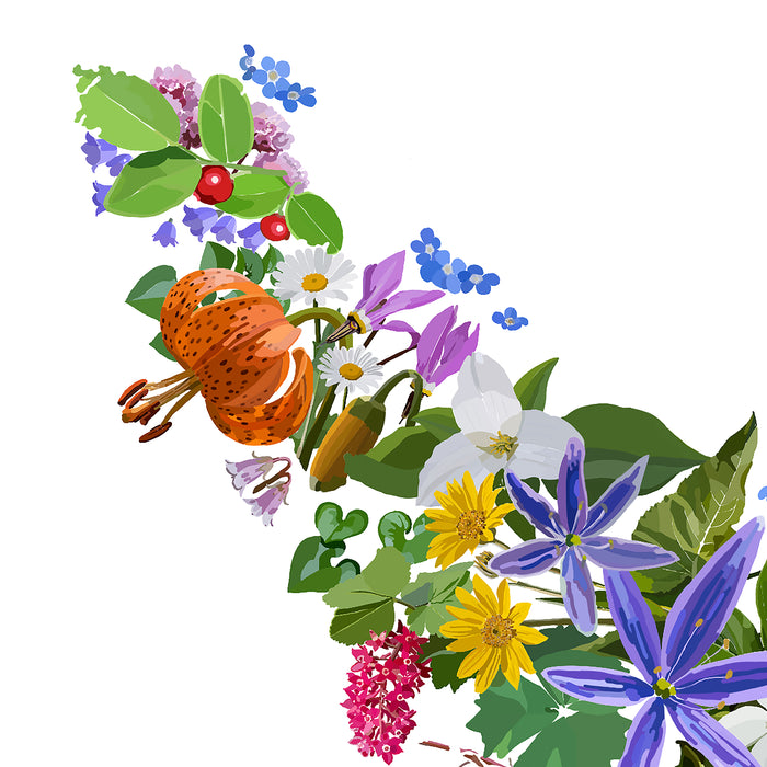 Vancouver Island Vinyl Car Sticker: Botanical Art Waterproof Decal