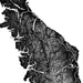 Black and white topographic map of a region