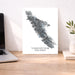 Map of Vancouver Island on a desk with a laptop and plant