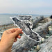 Hand holding a 'Vancouver Island, Canada' sticker with a scenic background.