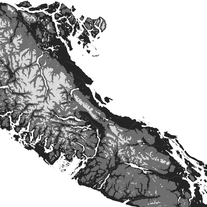 Topographic map of a coastal area with varying shades of gray