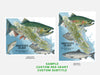 Two illustrations of salmon on Vancouver Island with customizable text on a white background.
