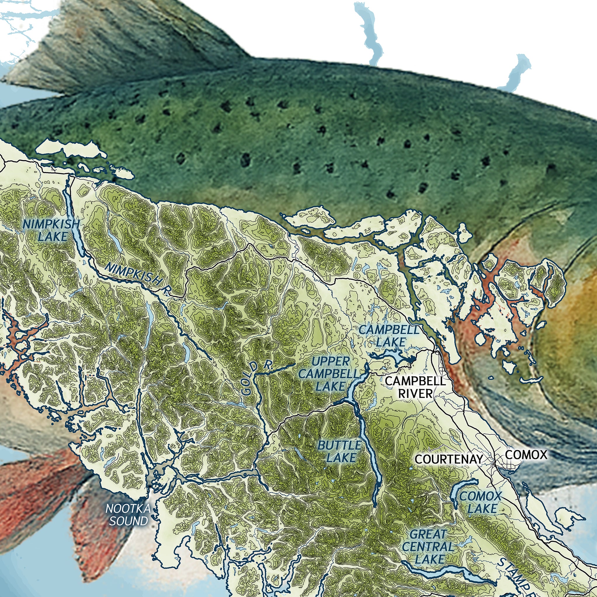 Vancouver Island Map: Fishing Art Print, Chinook Coho Salmon Steelhead ...