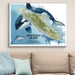 Map of Vancouver Island with dolphins on a wall above a beige sofa.