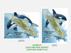 Two map designs of Vancouver Island with orcas and dolphins on a light gray background.