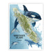 Map of Vancouver Island with orca whales on a blue background