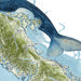 Map of a coastal region with a whale tail illustration overlay