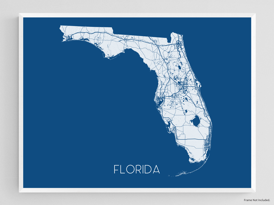 Florida state map print with 3D topographic landscape features, main roads and a colorful background by Maps As Art.
