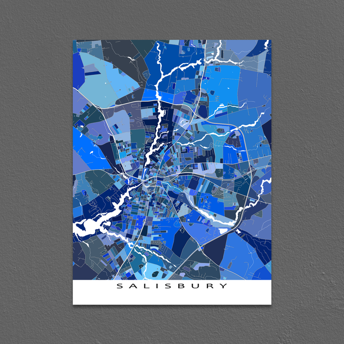Detailed Salisbury Map Print